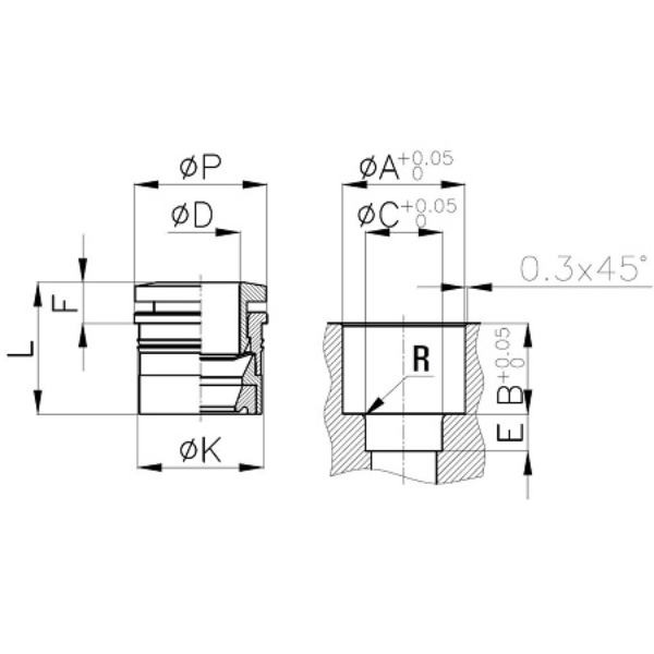 Đầu Nối Khí CAS