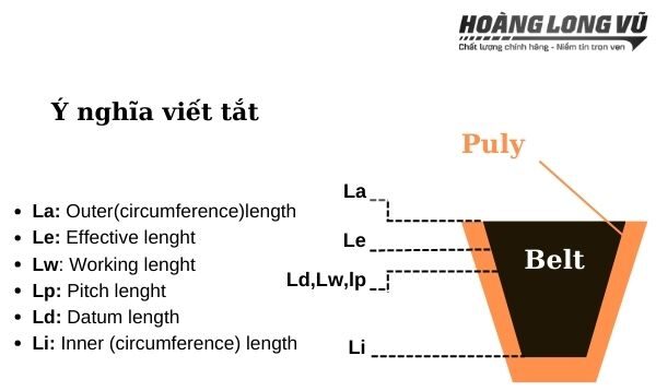 Cách quy đổi dây curoa