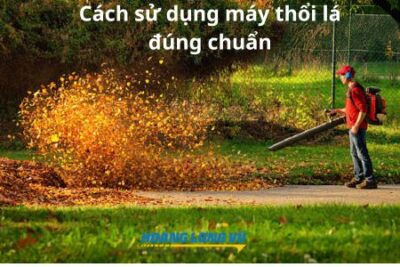 Hướng dẫn cách sử dụng máy thổi bụi và lá đúng CHUẨN