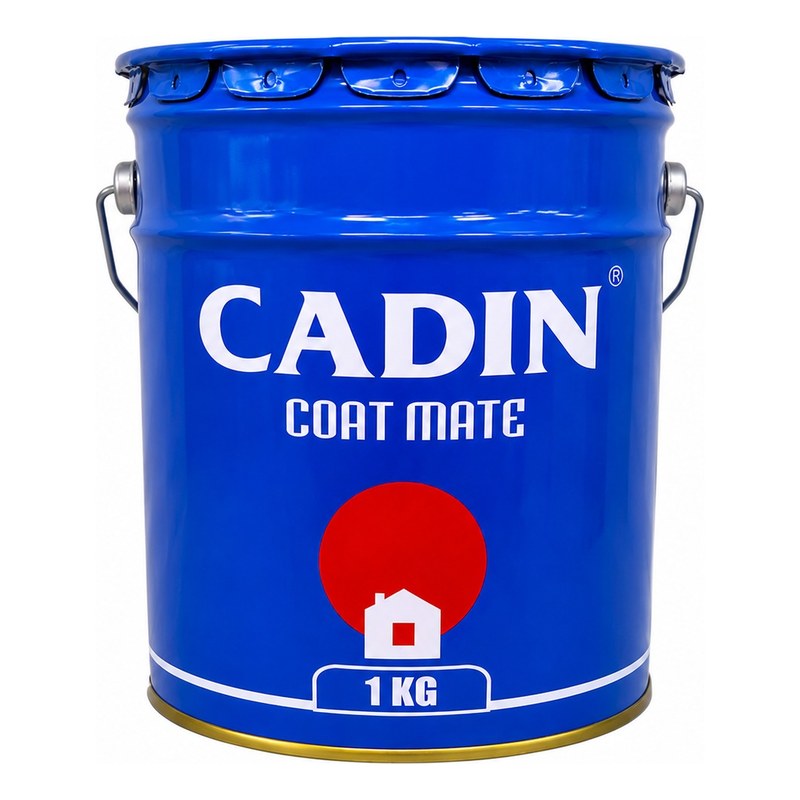 Sơn phủ epoxy A213 (màu đen) 1kg CADIN