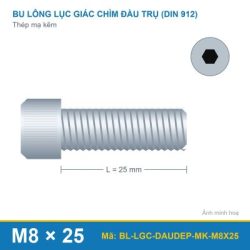 Bu lông lục giác chìm đầu dẹp mạ kẽm M8x25