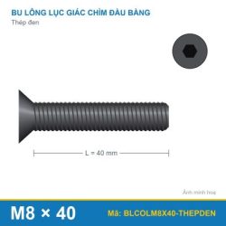 Bulong lục giác chìm đầu col thép đen M8x40