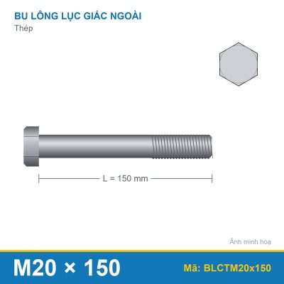 Bulong chữ T M20x150 (bộ)