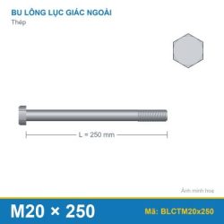 Bulong chữ T M20x250