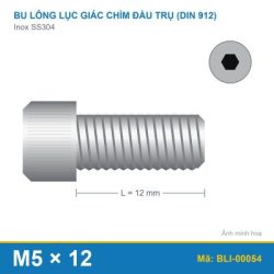 Bu lông lục giác chìm SS304 M5x12