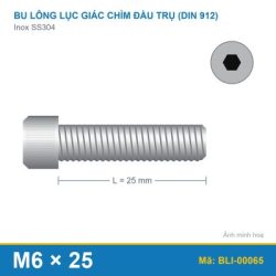 Bu lông lục giác chìm SS304 M6x25