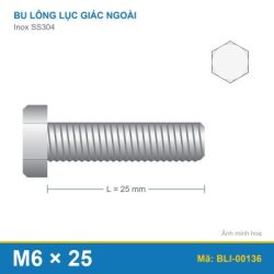 Bu lông SS304 8.8 M6x25