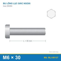 Bu lông SS304 8.8 M6x30
