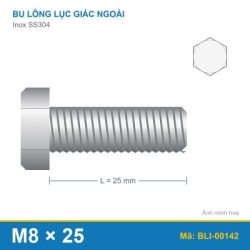 Bu lông SS304 8.8 M8x25