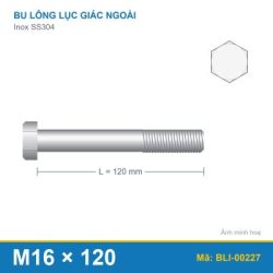 Bu lông SS304 8.8 M16x120
