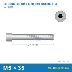 Bu lông lục giác chìm SS304 M5x35