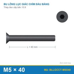 Bu lông lục giác chìm đầu col thép M5x40 (10.9/DIN7991)