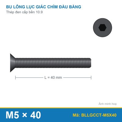 Bu lông lục giác chìm đầu col thép M5x40 (10.9/DIN7991)