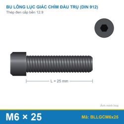 Bu lông lục giác chìm đầu trụ thép đen 12.9 M6x25