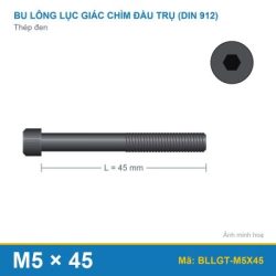 Bu lông lục giác thép 912 M5x45