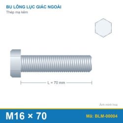 Bu lông mạ kẽm M16x70