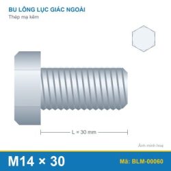 Bu lông mạ kẽm M14x30