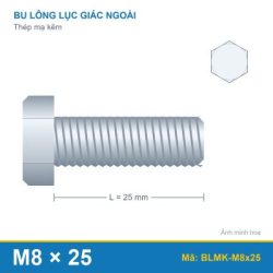 Bu lông mạ kẽm M8x25
