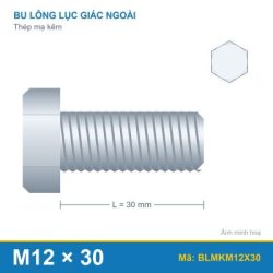 Bu lông mạ kẽm M12x30