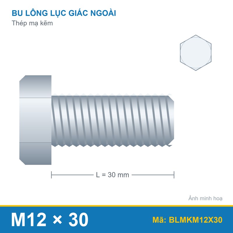Bu lông mạ kẽm M12x30