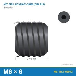 Bu lông lục giác âm thép 916 M6x6