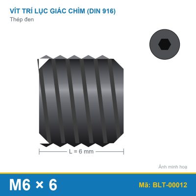 Bu lông lục giác âm thép 916 M6x6