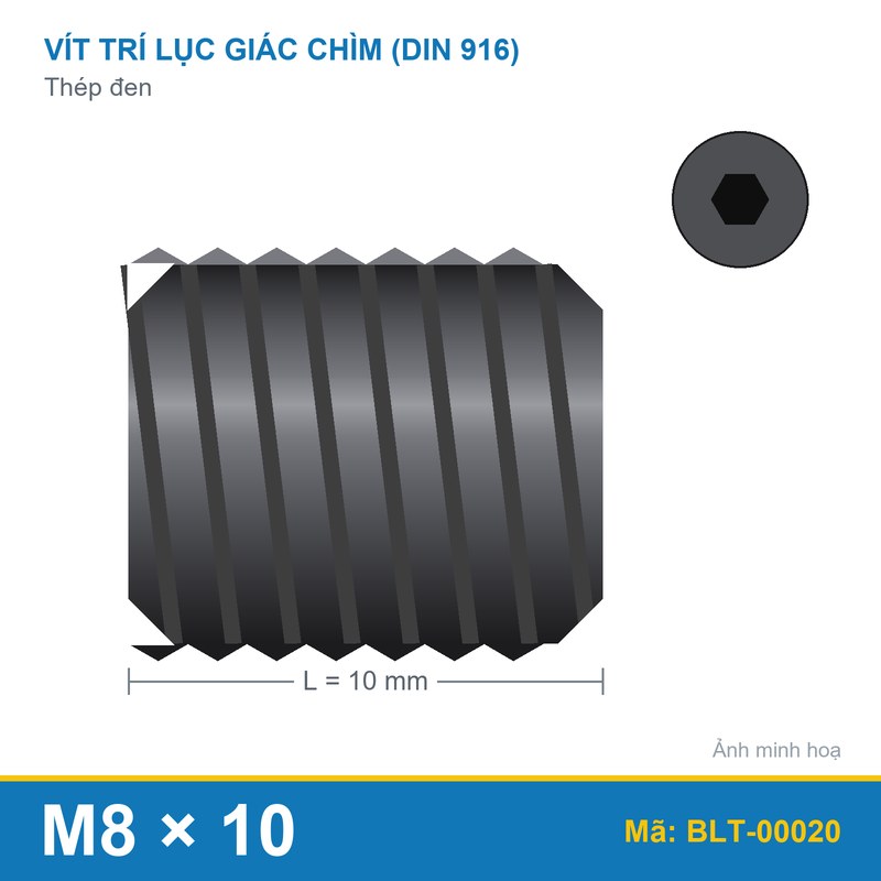 Bu lông lục giác âm thép 916 M8x10
