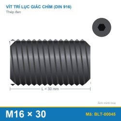 Bu lông lục giác âm thép 916 M16x30