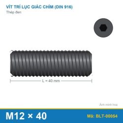 Vít trí lục giác chìm thép M12x40