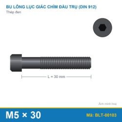 Bu lông lục giác thép 912 M5x30