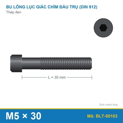 Bu lông lục giác thép 912 M5x30