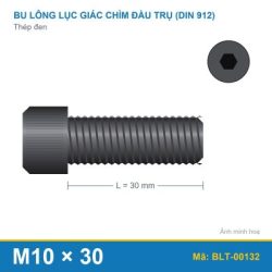 Bu lông lục giác chìm thép M10x30