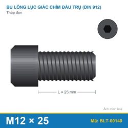 Bu lông lục giác thép 912 M12x25
