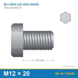 Bu lông thép 8.8 M12x20