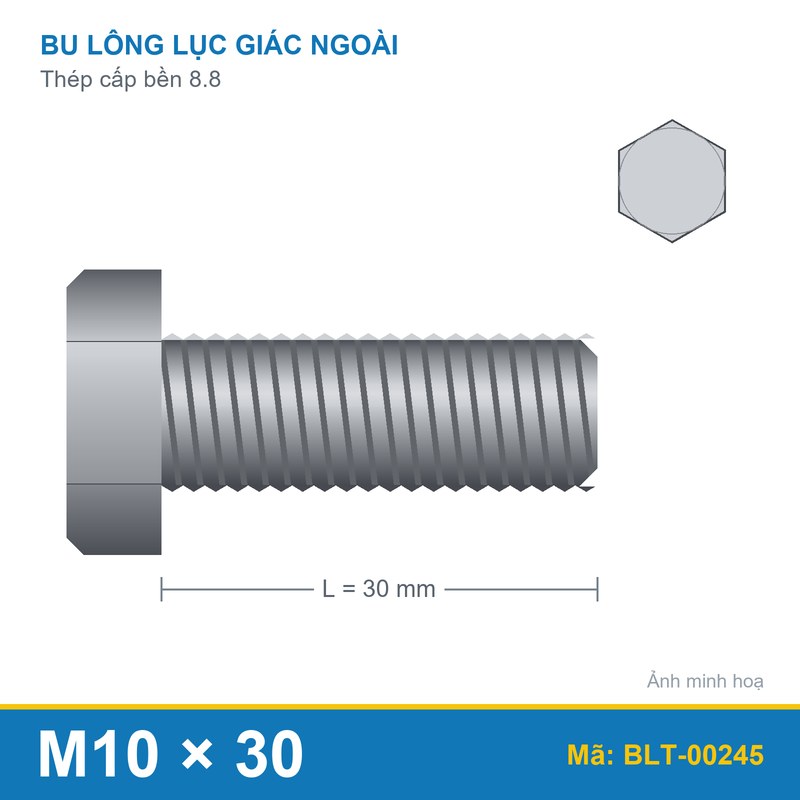 Bu lông thép 8.8 M10x30