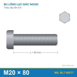 Bu lông thép 8.8 M20x80