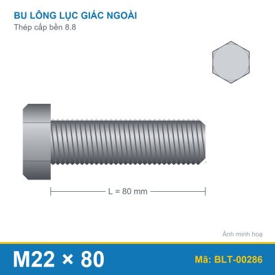 Bu lông thép 8.8 M22x80
