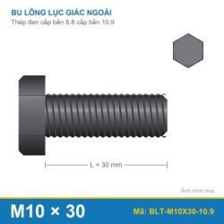Bu lông thép 8.8 M10x30 (DIN933/10.9)