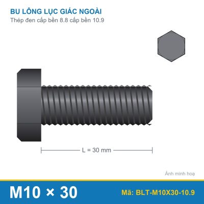 Bu lông thép 8.8 M10x30 (DIN933/10.9)