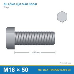 Bu lông xi trắng M16x50