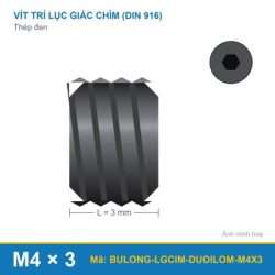 Bu lông lục giác chìm đuôi lõm thép đen M4x3mm