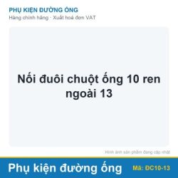 Nối đuôi chuột ống 10 ren ngoài 13