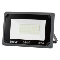 Đèn pha LED FLE100 (100W/6500K) Asia