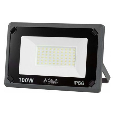 Đèn pha LED FLE100 (100W/6500K) Asia