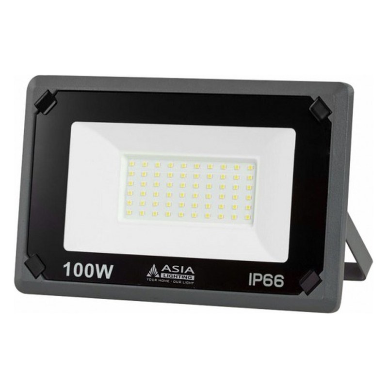 Đèn pha LED FLE100 (100W/6500K) Asia