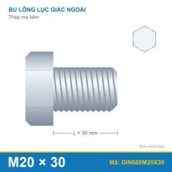 Bulong vòng DIN580 M20x30 thép mạ kẽm