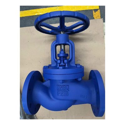 Van cầu hơi gang DN50 JIS1K ARI