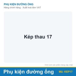 Kép thau 17