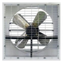 Quạt hút công nghiệp Ifan 20A