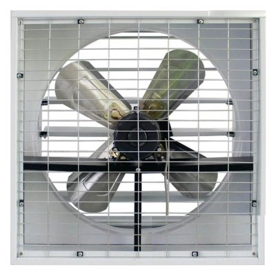 Quạt hút công nghiệp Ifan 20A
